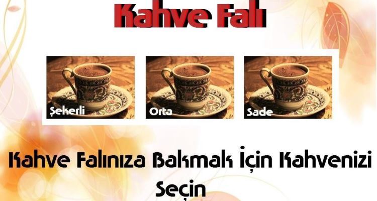 Antalyafalcafe Instagram Profile With Posts And Stories Picuki Com